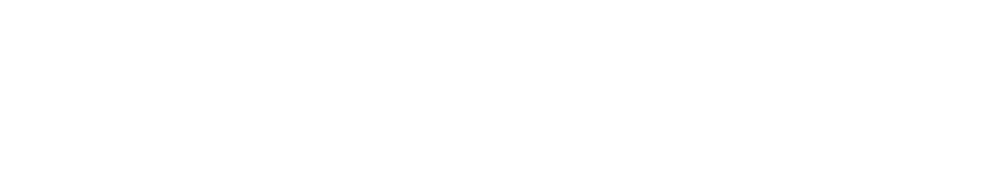 Official SDI Partner